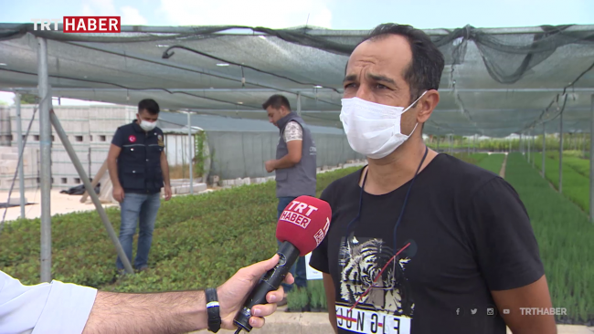 Adana'da her yıl 7 milyon fidan üretiliyor